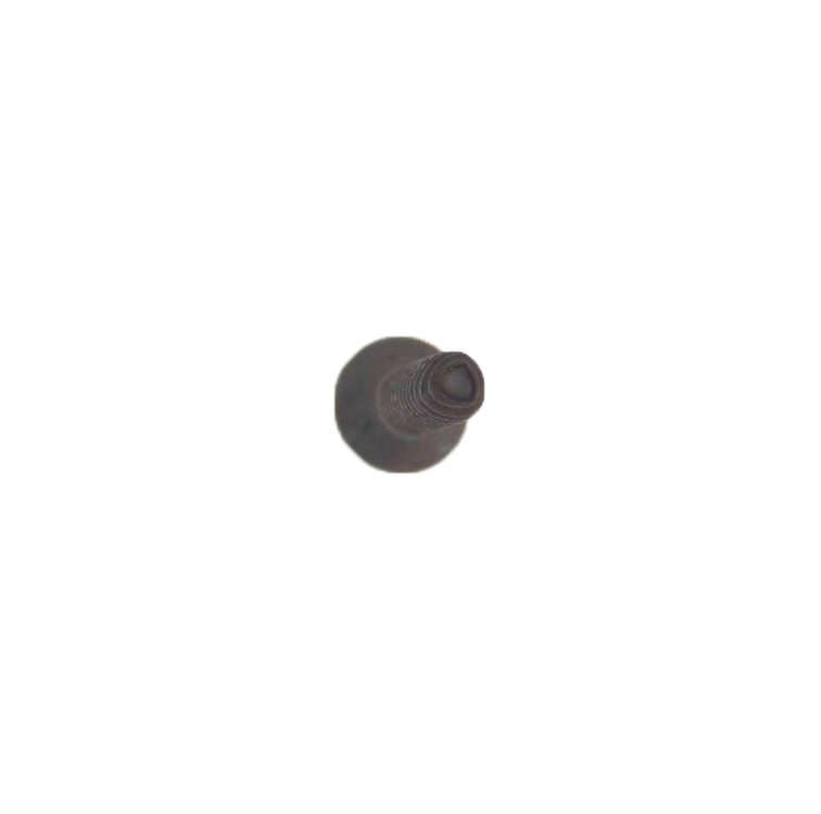 WS01A02448 - Genuine OEM GE Range Screw